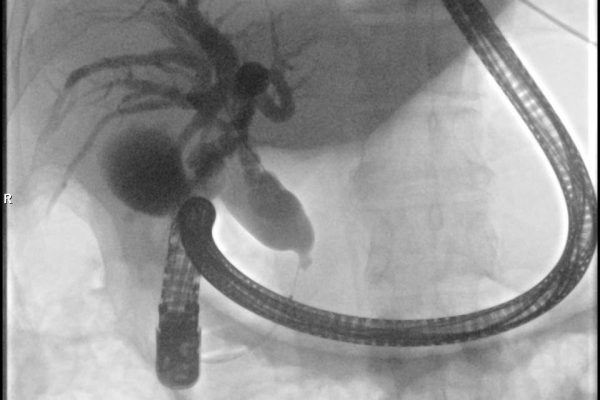 WhatsApp Image 2026-05-28 at 8.40.35 p. m. (2)